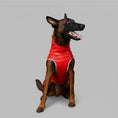Carica l'immagine nel visualizzatore della galleria, Imperméable pour chien ajustable en rouge, conçu pour garder votre animal au sec et confortable