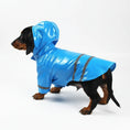 Load image into Gallery viewer, Imperméable pour chien avec capuche en bleu, parfait pour les jours de pluie