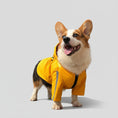 Charger l'image dans la visionneuse de la galerie, Chien Corgi souriant portant un imperméable pour chien avec capuche sous la pluie