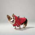 Charger l'image dans la visionneuse de la galerie, Corgi mignon en imperméable pour chien avec capuche rouge sous la pluie, prêt pour une promenade.
