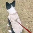 Cargar la imagen en la vista de la galería, Chien portant un imperméable pour chien avec harnais beige attaché à une laisse rouge sur l'herbe