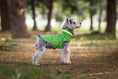Charger l'image dans la visionneuse de la galerie, Chien portant un imperméable pour chien vert dans une forêt ensoleillée