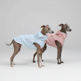 Carica l'immagine nel visualizzatore della galleria, Imperméable pour lévrier et Whippet en bleu et rose, parfait pour les jours de pluie