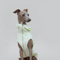 Carica l'immagine nel visualizzatore della galleria, Imperméable pour lévrier et Whippet en couleur vert clair avec fermeture éclair et capuche ajustable