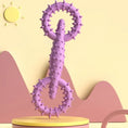 Cargar la imagen en la vista de la galería, Jouet à mâcher chien violet avec texture à picots pour une meilleure mastication et plaisir
