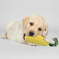 Cargar la imagen en la vista de la galería, Chien labrador jouant avec jouet à mâcher chien résistant en forme d'épi de maïs