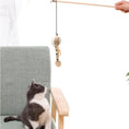 Charger l'image dans la visionneuse de la galerie, Jouet baguette pour chat avec un grelot et une peluche, parfait pour stimuler le jeu et l'exercice.
