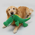Carica l'immagine nel visualizzatore della galleria, Chien tenant un jouet crocodile pour chien, doux et coloré, idéal pour le jeu et la mastication