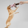 Charger l'image dans la visionneuse de la galerie, Chien jouant avec un jouet interactif pour chien en forme de peluche avec une main qui tire