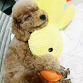 Charger l'image dans la visionneuse de la galerie, Chien câlinant un jouet sonore chien en peluche jaune tendre pour moments de jeu et confort