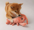 Cargar la imagen en la vista de la galería, Chien Shiba Inu jouant avec un jouet vibrant pour chien et chat en forme de crevette rose