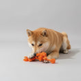 Load image into Gallery viewer, Chien jouant avec un jouet à mâcher pour chien orange en corde tressée à l'intérieur