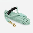 Load image into Gallery viewer, Laisse longe pour chien en mint avec poignée ergonomique pour une prise en main confortable