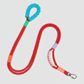 Load image into Gallery viewer, Laisse main libre chien rouge avec poignée en mousse bleue et mousqueton argenté Oscar et Plume