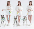 Load image into Gallery viewer, Femme avec Dalmatien utilisant une laisse main libre chien Oscar et Plume bleu et vert pour promenade confortable