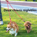 Charger l'image dans la visionneuse de la galerie, Laisse mains libres pour chien de Oscar et Plume avec deux cordes réglables pour promener deux chiens