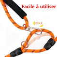 Charger l'image dans la visionneuse de la galerie, Laisse mains libres pour chien en nylon orange avec clip et poignée confortable