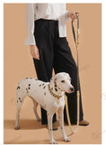 Load image into Gallery viewer, Laisse mains libres pour chien en cuir beige et noir avec collier assorti portée par une personne