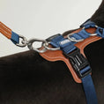 Load image into Gallery viewer, Laisse multi-fonction pour chien attachée à un harnais avec boucle en métal et design moderne