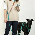 Load image into Gallery viewer, Femme portant une laisse multi-fonction pour chien de Oscar et Plume avec un harnais assorti