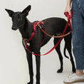 Load image into Gallery viewer, Laisse multi-fonction pour chien rouge avec harnais, idéale pour les balades en toute sécurité