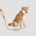 Charger l'image dans la visionneuse de la galerie, Laisse pour chien élégante avec attaches en cuir, parfaite pour les promenades avec votre compagnon.