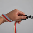 Load image into Gallery viewer, Laisse pour chien tissu tricolore tenue par une main sur fond bleu de la marque Oscar et Plume