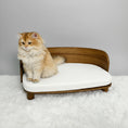 Charger l'image dans la visionneuse de la galerie, Chat assis sur un lit canapé en bois pour chat avec coussin gris dans un intérieur lumineux