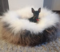 Load image into Gallery viewer, Lit peau de mouton chien Oscar et Plume moelleux avec bordure blanche et chien noir allongé