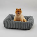 Charger l'image dans la visionneuse de la galerie, Lit pour chien en velours gris avec chien assis confortablement dans un intérieur moderne