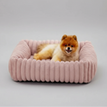Charger l'image dans la visionneuse de la galerie, lit pour chien en velours rose avec un petit chien pomeranien allongé dans un intérieur lumineux