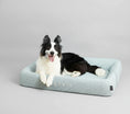 Charger l'image dans la visionneuse de la galerie, Chien noir et blanc couché sur un lit rafraîchissant chien chat gris d'Oscar et Plume