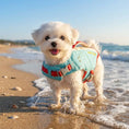 Carica l'immagine nel visualizzatore della galleria, Gilet de sauvetage pour chien Oscar et Plume en bleu pour des aventures aquatiques sécurisées