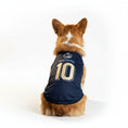 Load image into Gallery viewer, Maillot de football pour chien bleu avec le numéro 10 à l'arrière pour un look sportif