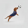 Load image into Gallery viewer, Chien sautant avec un ballon de football en portant un maillot football pour chien bleu