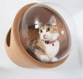 Charger l'image dans la visionneuse de la galerie, Maison design pour chat Oscar et Plume en bois clair avec coque transparente pour observation