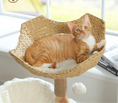 Charger l'image dans la visionneuse de la galerie, Chat roux allongé dans un panier tressé sur arbre à chat en bois naturel avec poteau sisal et jouet pompon près de fenêtre
