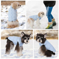 Load image into Gallery viewer, Manteau coupe-vent chien bleu clair porté par petits chiens en extérieur neige Oscar et Plume