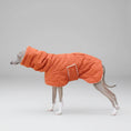 Charger l'image dans la visionneuse de la galerie, Manteau hiver pour lévrier orange avec capuche confortable porté à l'extérieur par un chien Oscar et Plume