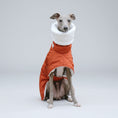 Charger l'image dans la visionneuse de la galerie, Lévrier portant un manteau hiver pour lévrier orange avec col blanc en extérieur