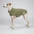 Cargar la imagen en la vista de la galería, Manteau imperméable pour chien Oscar et Plume en gris avec col douillet pour chiens élégants