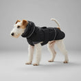 Charger l'image dans la visionneuse de la galerie, Manteau imperméable pour chien Oscar et Plume, idéal pour les promenades même sous la pluie
