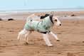 Charger l'image dans la visionneuse de la galerie, Chien portant un manteau imperméable pour chien de la marque Oscar et Plume sur la plage