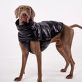 Carica l'immagine nel visualizzatore della galleria, Manteau pour chien Oscar et Plume en noir, rembourré et confortable pour protéger votre animal du froid
