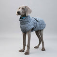 Cargar la imagen en la vista de la galería, Chien portant un manteau pour grand chien gris matelassé de la marque Oscar et Plume en extérieur