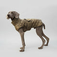 Cargar la imagen en la vista de la galería, Chien portant un manteau pour grand chien matelassé marron signé Oscar et Plume