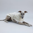 Cargar la imagen en la vista de la galería, Manteau pour lévrier whippet en beige avec doublure douce pour un confort optimal