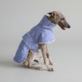 Cargar la imagen en la vista de la galería, Manteau pour lévrier whippet en bleu avec doublure douillette et col montant pour l'hiver