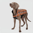 Charger l'image dans la visionneuse de la galerie, Manteau réversible pour chien Oscar et Plume à carreaux orange et noir adapté aux chiens de taille moyenne