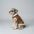Cargar la imagen en la vista de la galería, Manteau simili cuir pour chien marron avec doublure en fausse fourrure porté par un petit chien